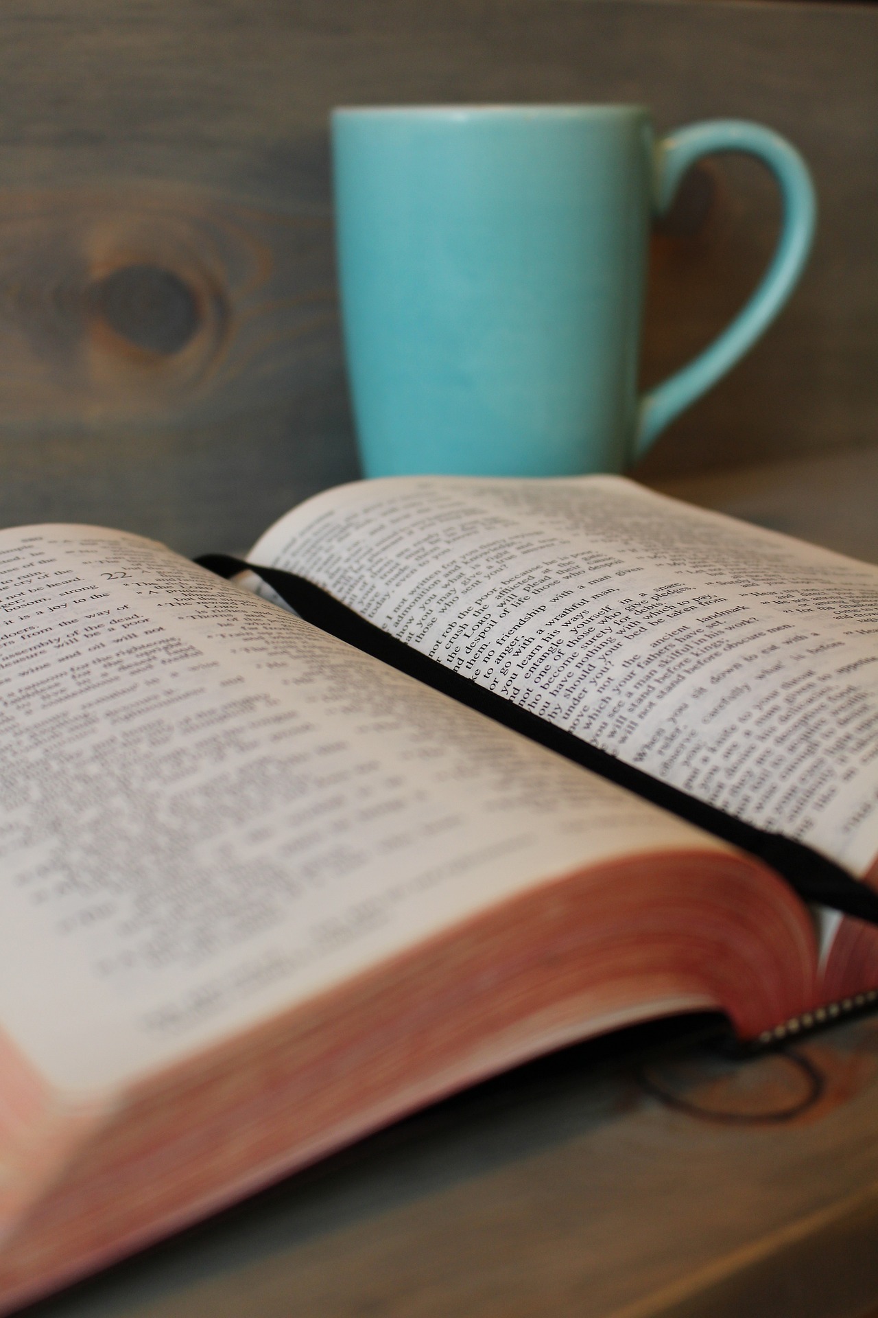 bible and mug